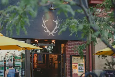 Velvet Elk Lounge, interior